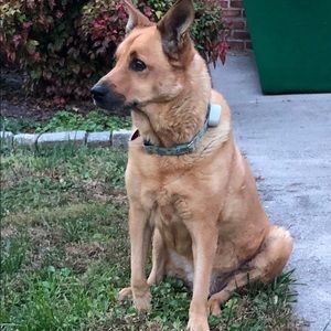 Meet your Posher, Diane